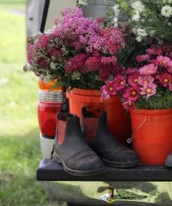 BLUNDSTONE 1316 Classic